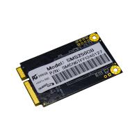 256 GB PG 500MB/s-500MB/s mSata SSD (SMS256GB)